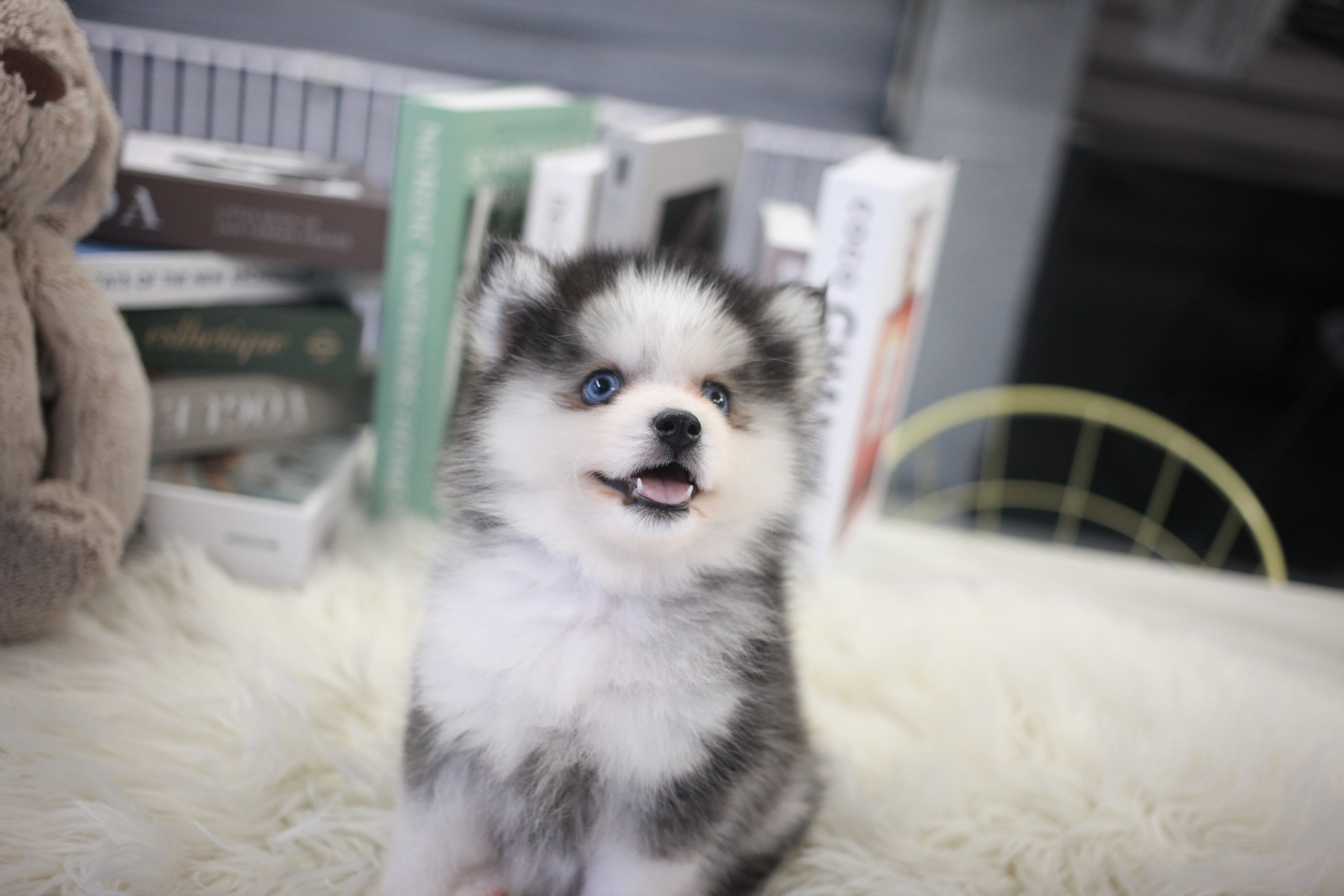 부천폼스키분양전문