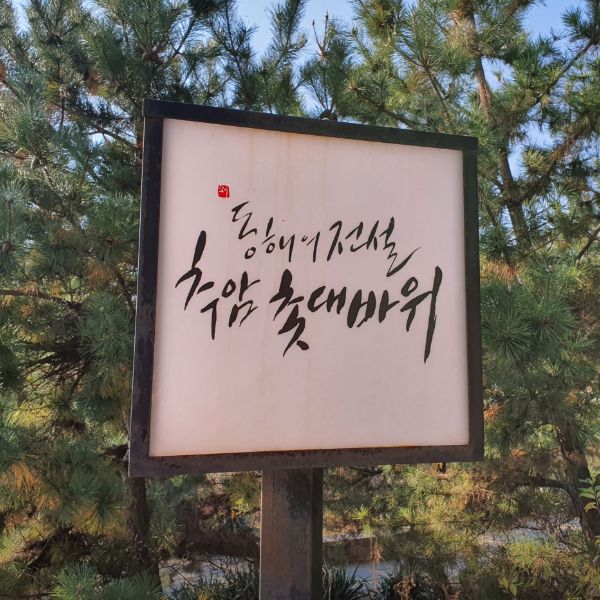 추암촛대바위 출렁다리