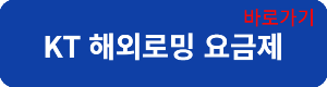 KT로밍