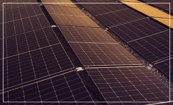 한국이 '기후악당'으로 등극한 이유가?