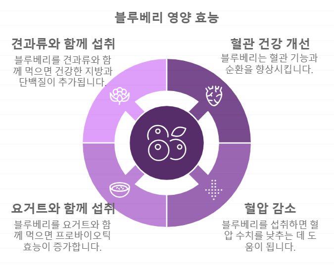 심혈관 건강 블루베리