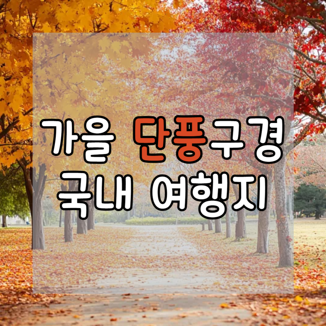 가을 단풍 구경하기 좋은 국내 여행지