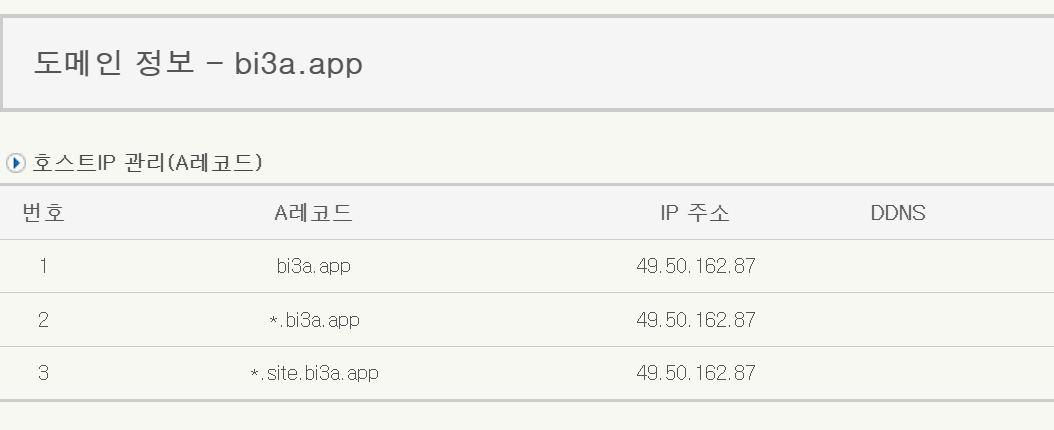 도메인 레코드 확인