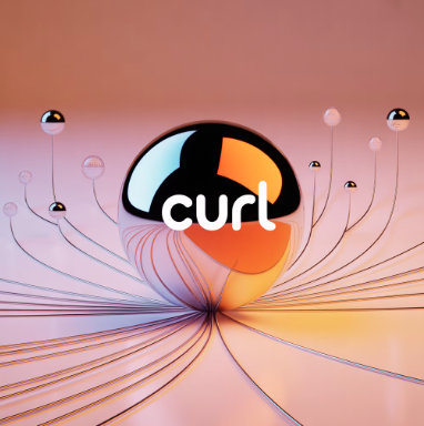 curl이란 무엇인가 섹션 이미지