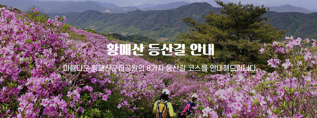 황매산 등산로