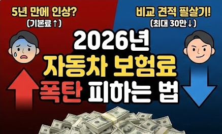 자동차 보험료 비교 견적