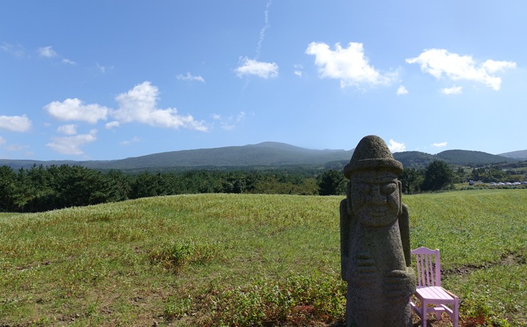 제주 오라동 메밀밭
