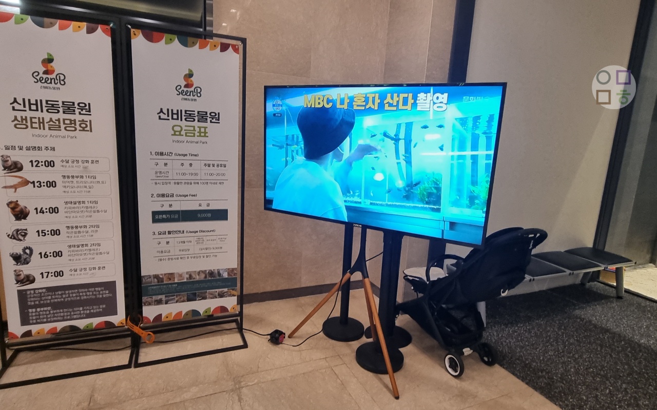 신비동물원-요금표-설명회-현수막-홍보영상-정상가