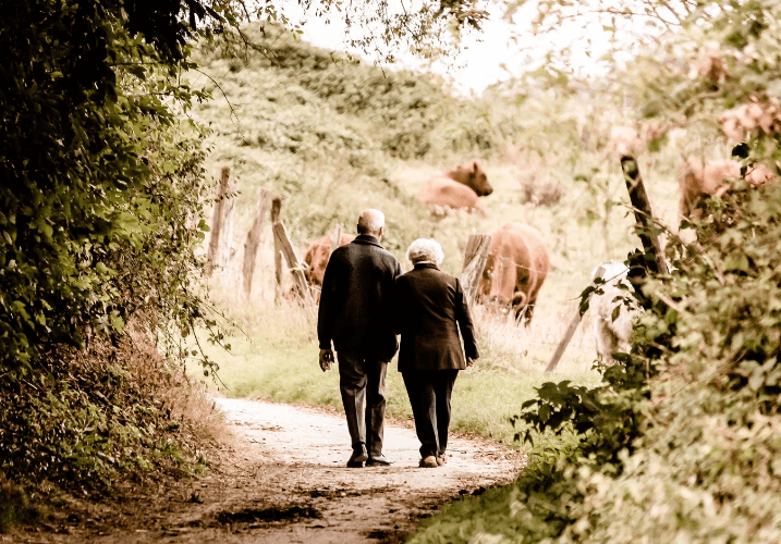 65세-이상-국가-혜택
