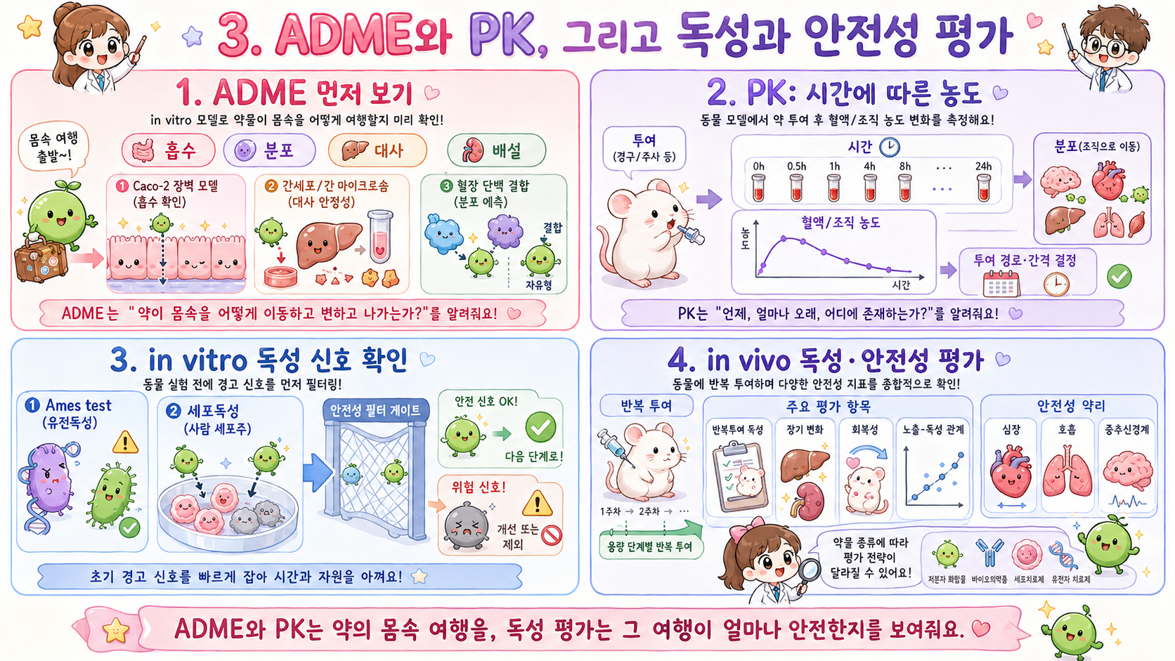 ADME와 PK는 약의 몸속 여행을, 독성 평가는 그 여행이 얼마나 안전한지를 보여줘요.
