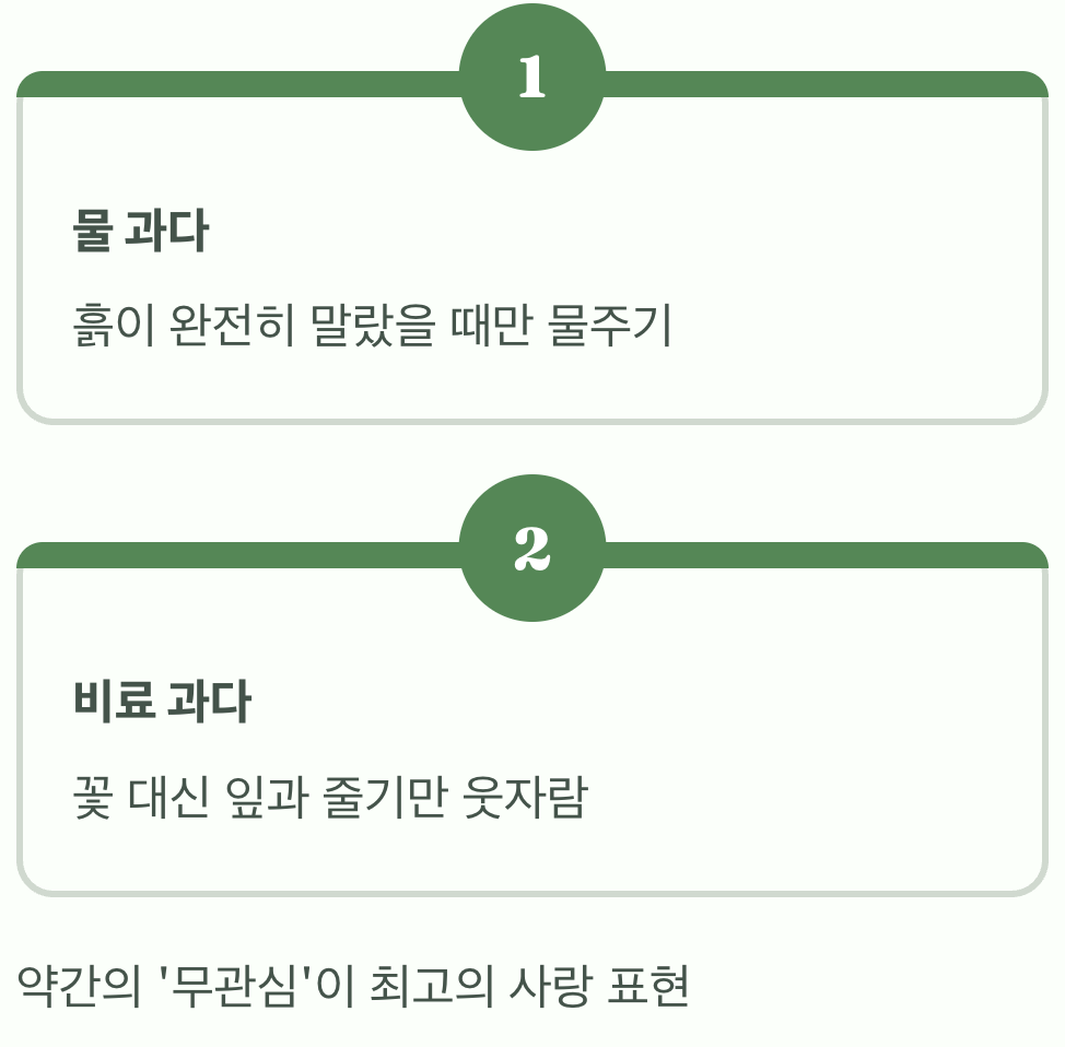 실수 하나: 과도한 애정&amp;#44; &amp;#39;물&amp;#39;과 &amp;#39;거름&amp;#39;