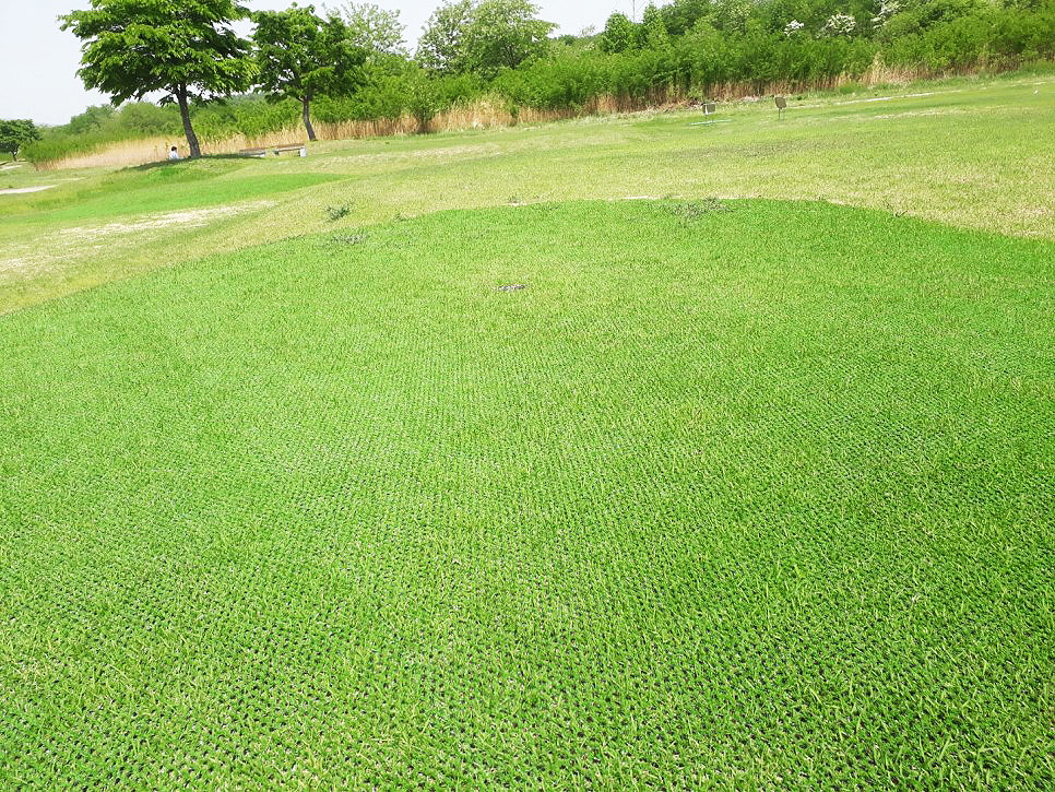 경상북도 구미 양호파크골프장 소개