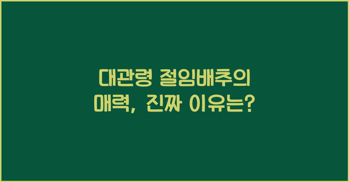 대관령 절임배추
