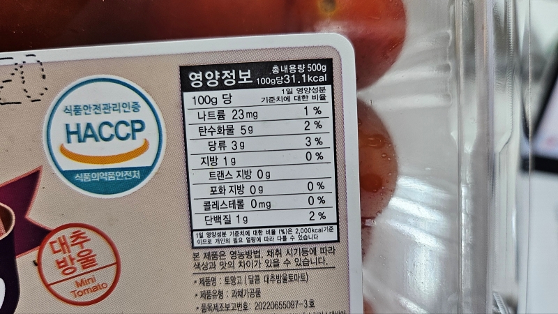 스테비아토마토16