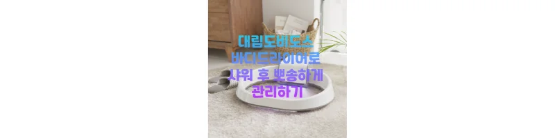 대림도비도스 바디드라이어 구매창 이동