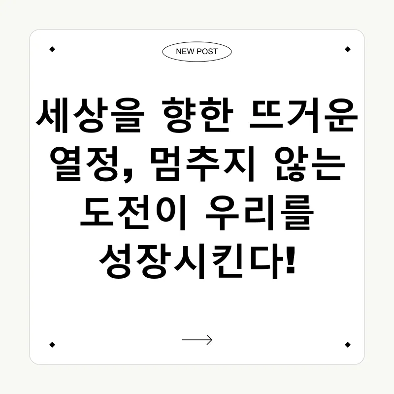 도전과 경험_1