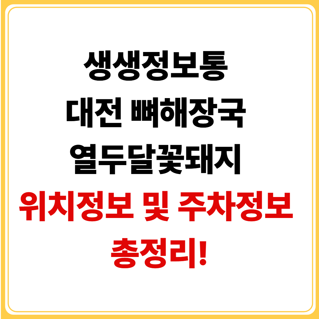 생생정보통-대전-7900원-뼈해장국-열두달꽃돼지-위치정보-주차정보