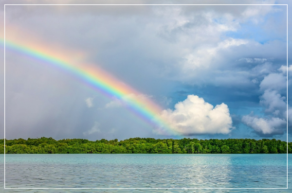 바다위의 무지개 이미지