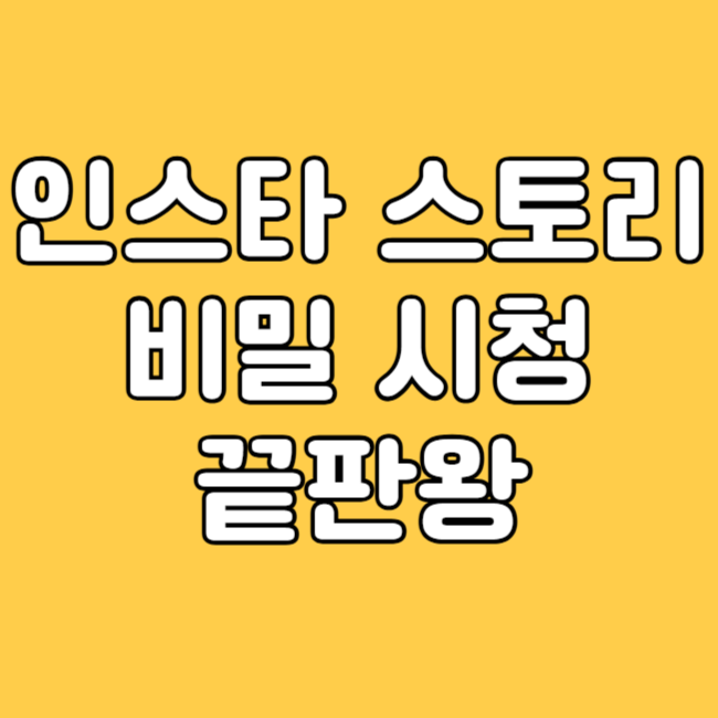 인스타 스토리 몰래보기