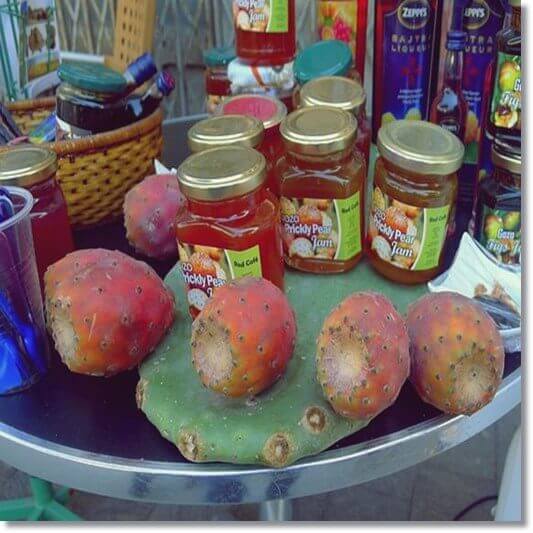 백년초 열매 먹는 법과 제품