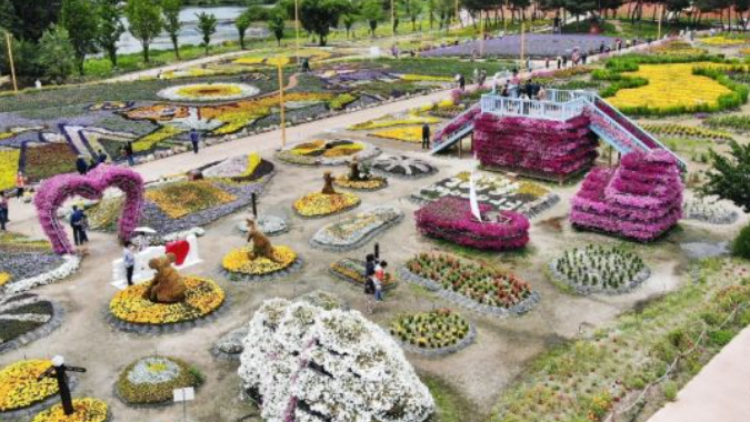 가평 자라섬 꽃 페스타 축제 입장료 및 할인 정보 주차 전기차