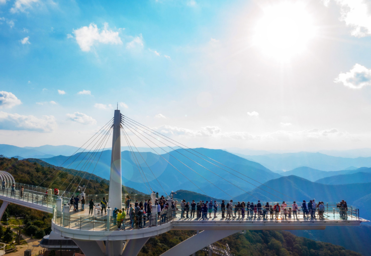 강원도 평창 발왕산과 천년주목숲길 정보