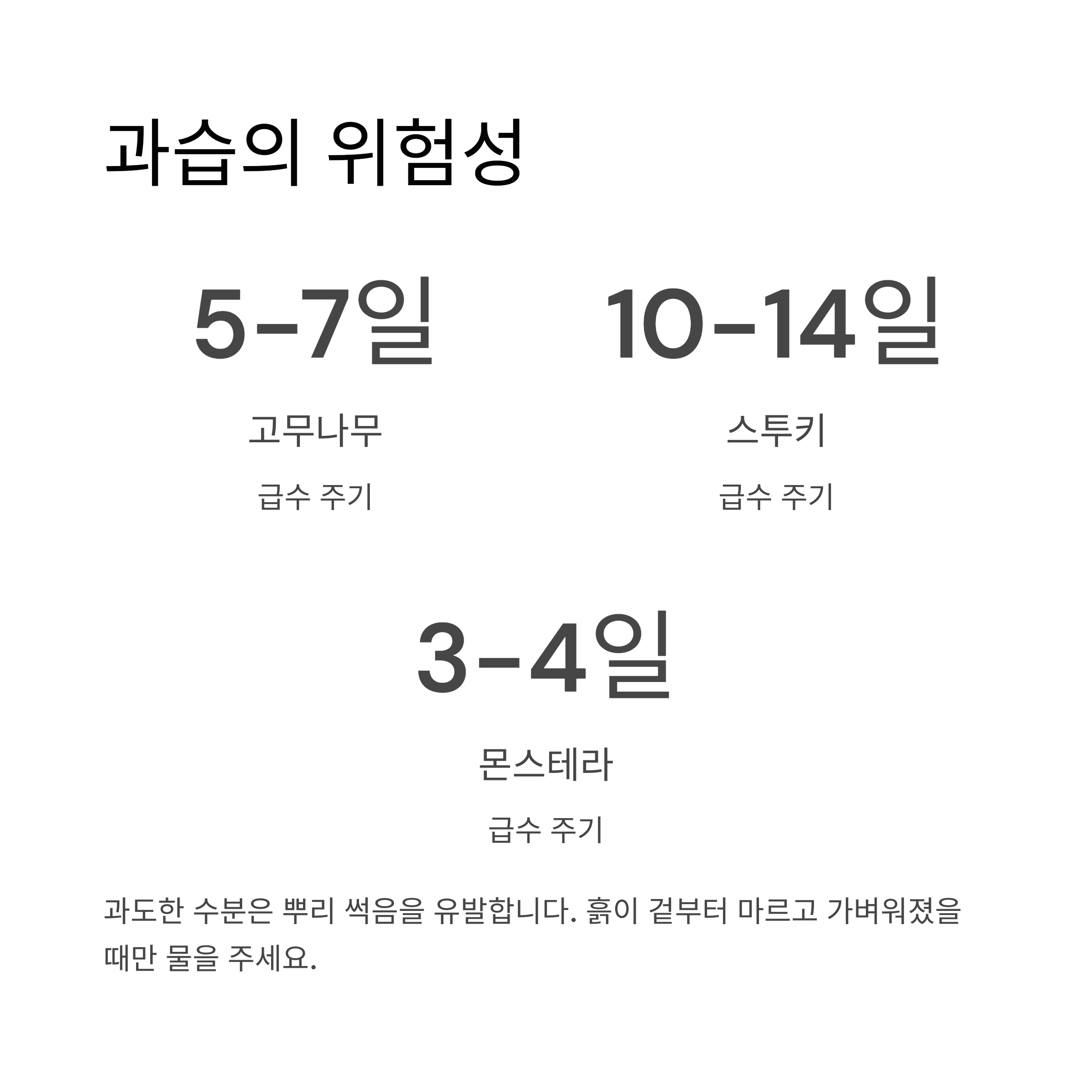 과습은 곧 죽음