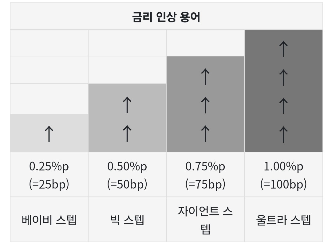 경제용어 빅컷