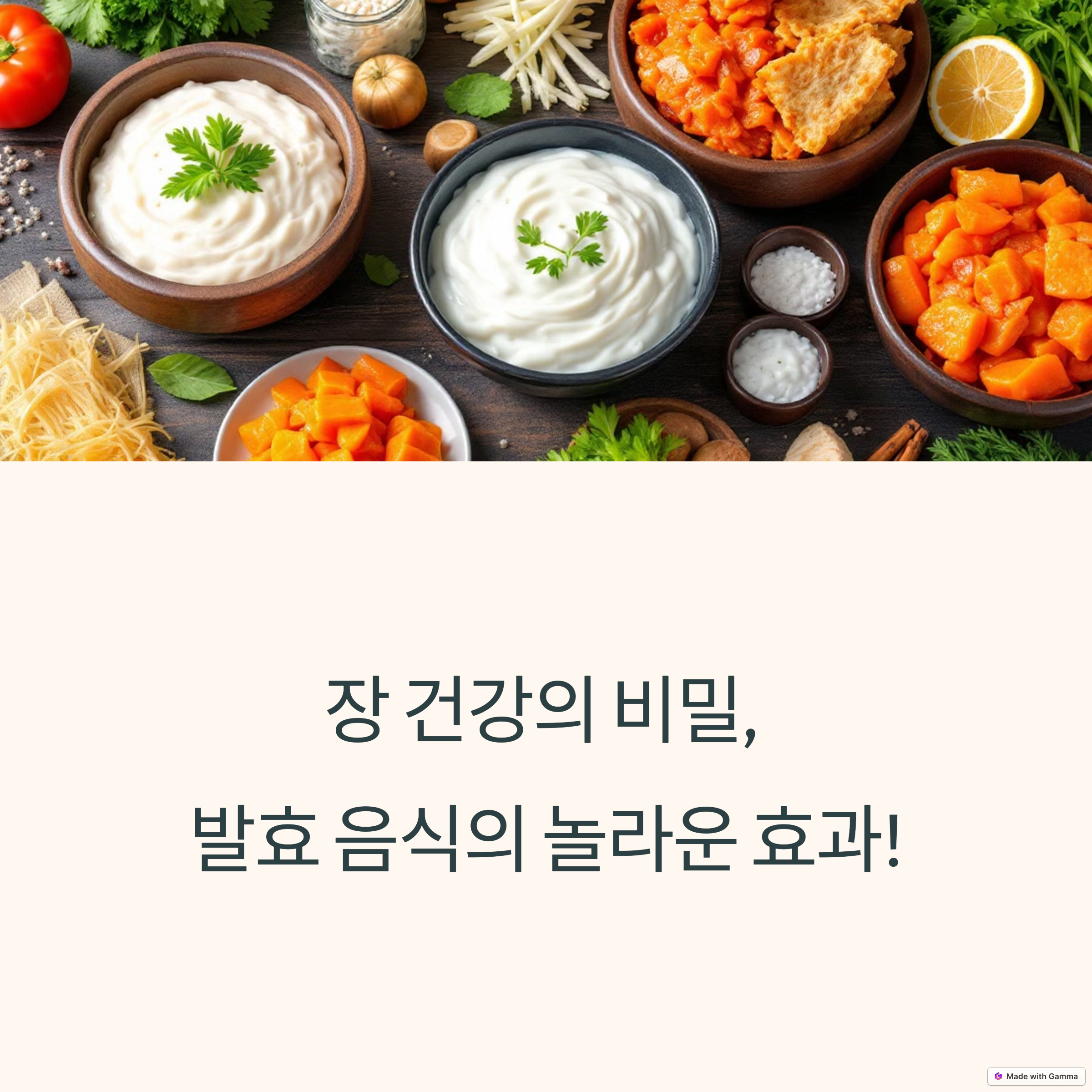 발효 음식이 장 건강에 미치는 놀라운 효과
