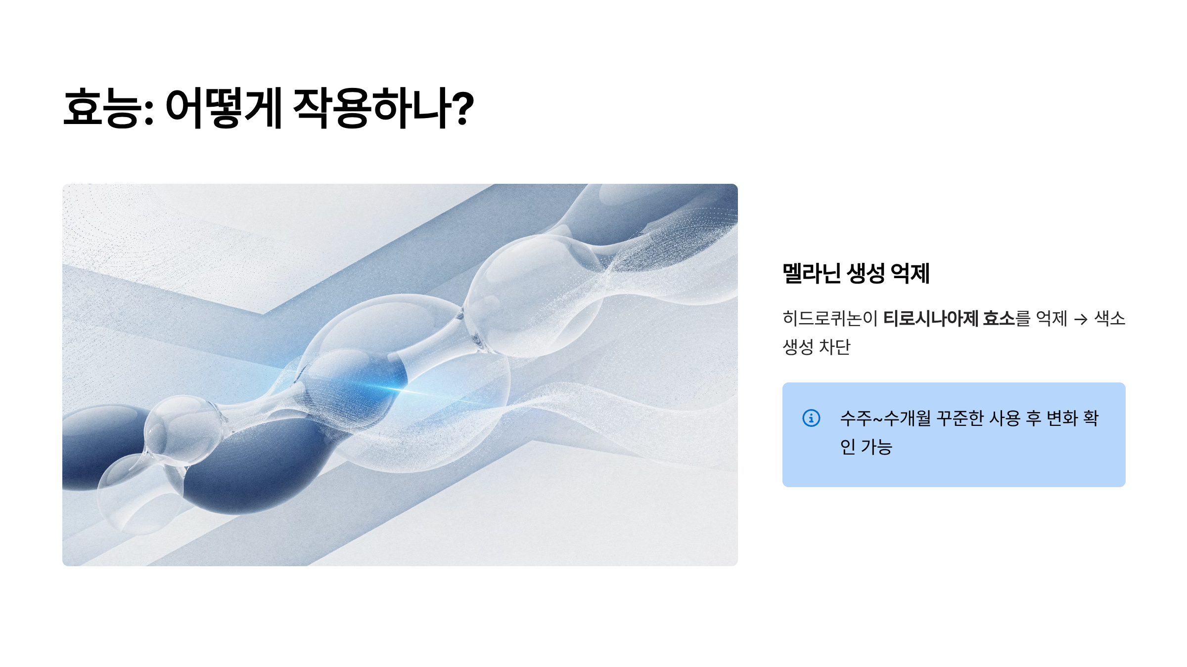 멜라토닝 크림 가격 효능 사용법
