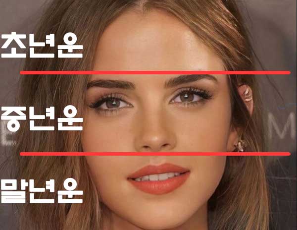 얼굴 3등분 초,중, 말년운
