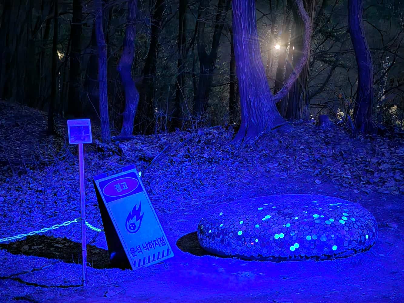 별빛정원우주 47