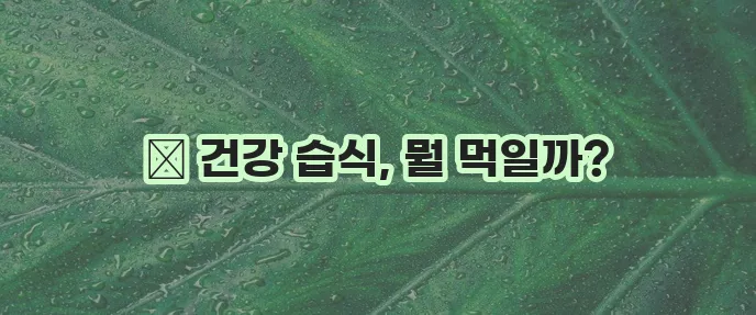 사랑하는 고양이 건강을 위한 최고의 습식사료 추천, 놓치지 마세요!
