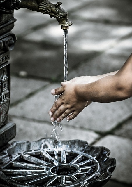 코 세척(비강 세척) 안전 가이드, 코 세척 안전하게 하세요.