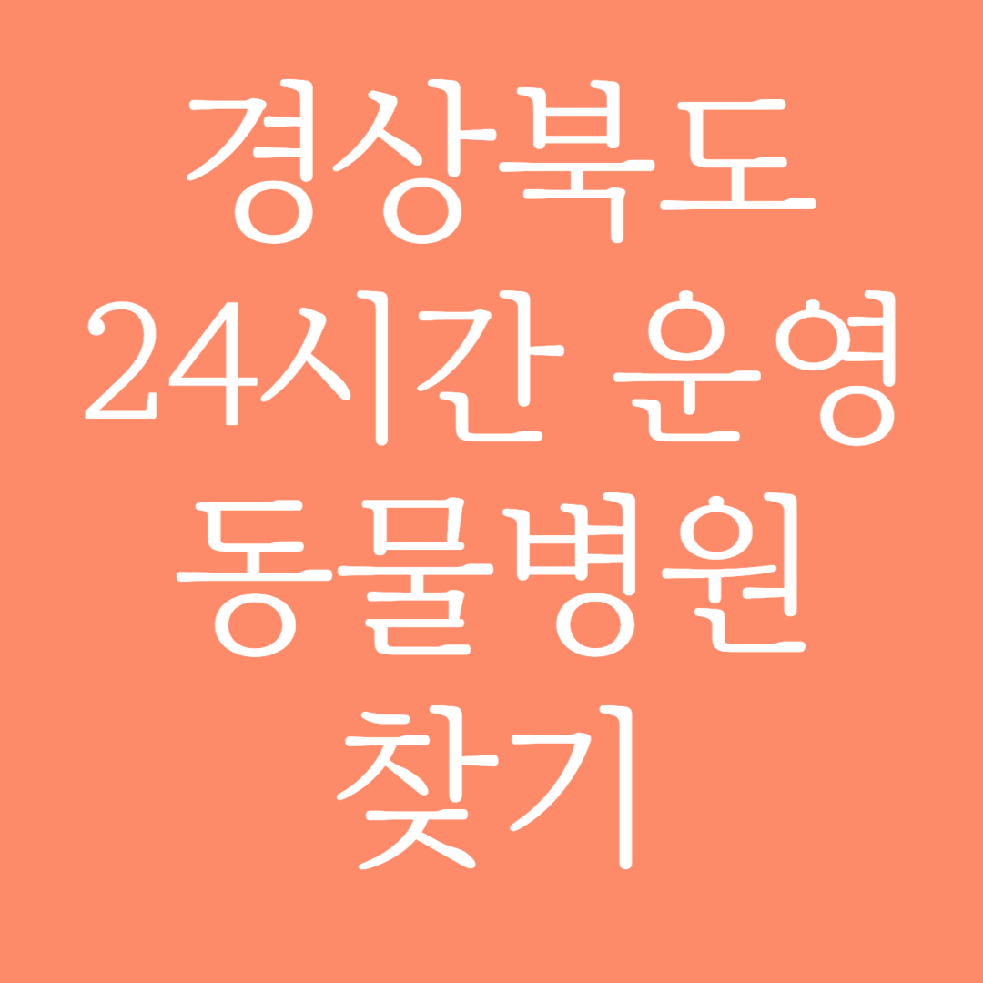 경상북도 24시간 운영 동물병원 찾기