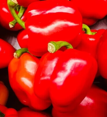 신장에 좋은 음식