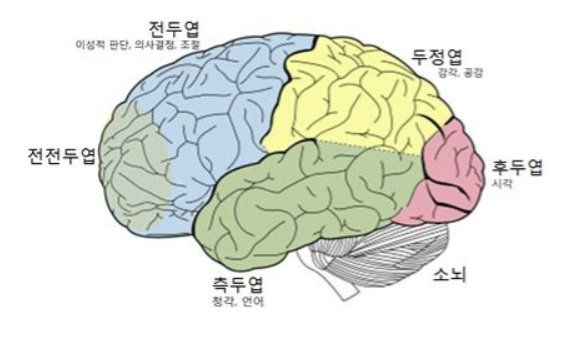 코칭형 대화 뇌에 ‘자율성과 동기’를 자극