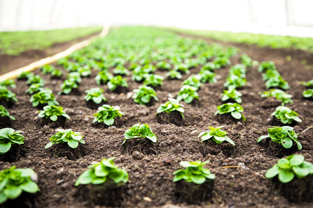 Agriculture