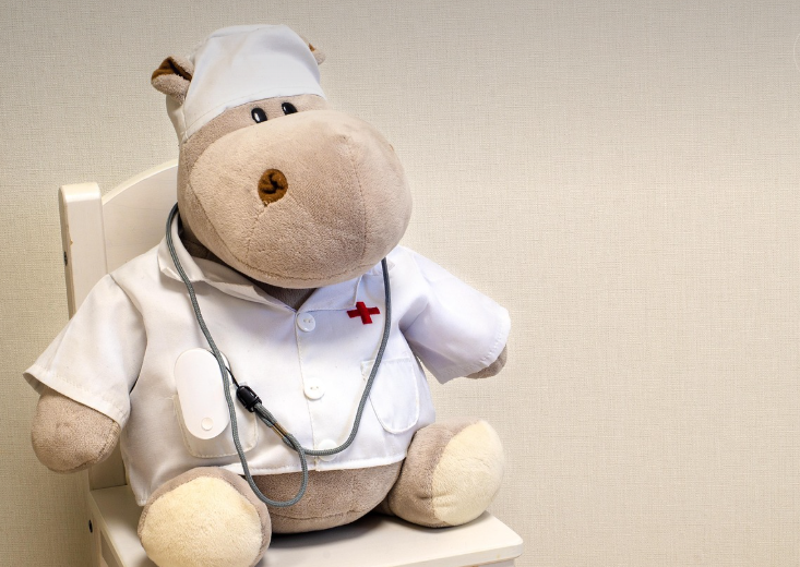 사춘기 뇌발달과 감정 조절 이론, 하마인형이 의사가운을 입고 의자에 앉아 있는 사진