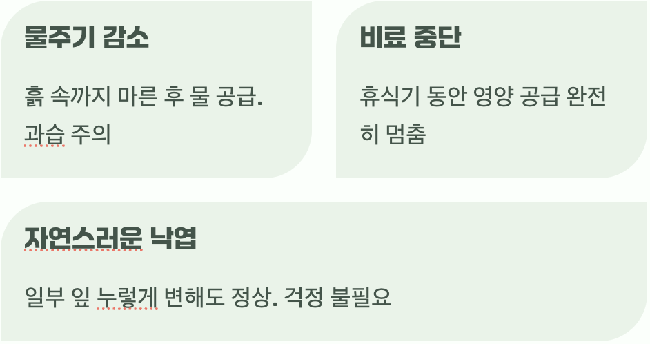 가을과 겨울, 조용한 휴식의 시간