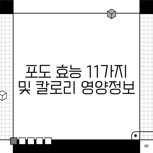 포도 효능 11가지 및 칼로리 영양정보