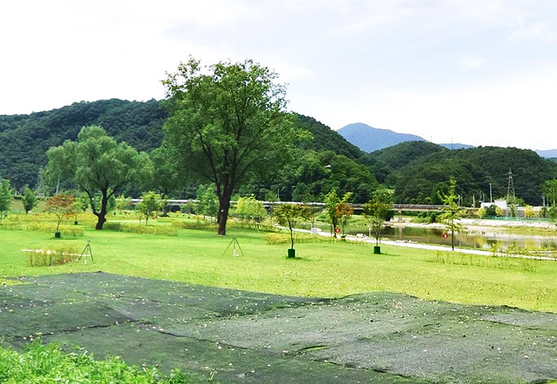 강원도 삼척 미로파크골프장 소개