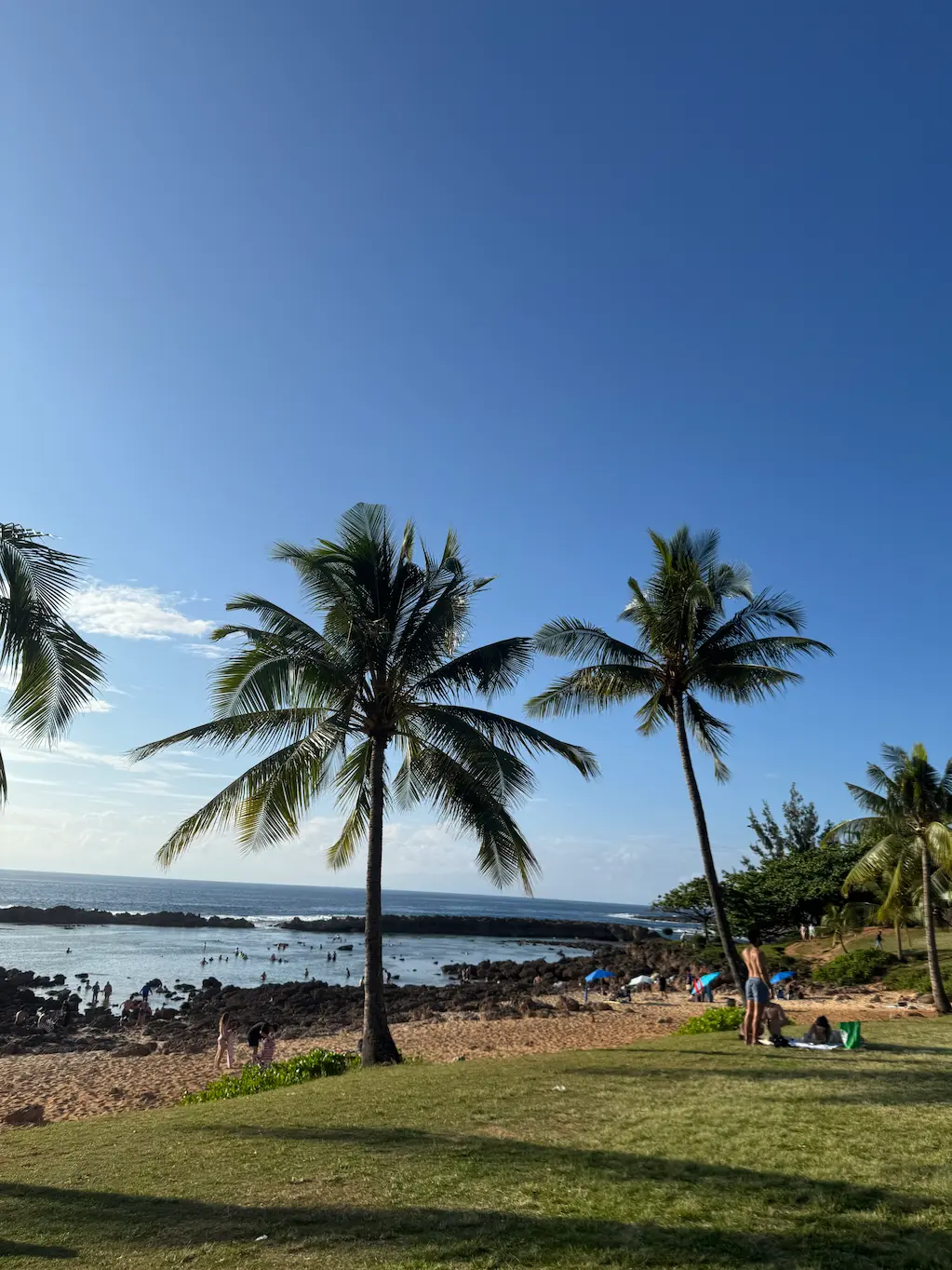 푸푸케아 비치 바다와 야자수나무