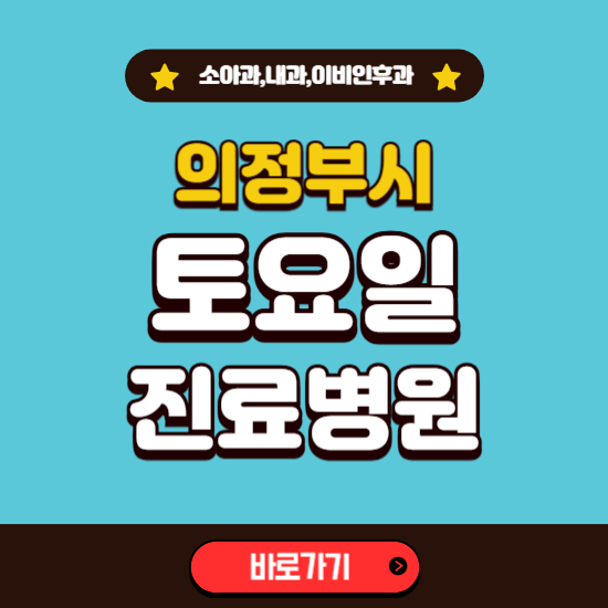 의정부시 토요일 진료 병원 찾기 ❘ 주말 문여는 소아과, 내과, 이비인후과 리스트