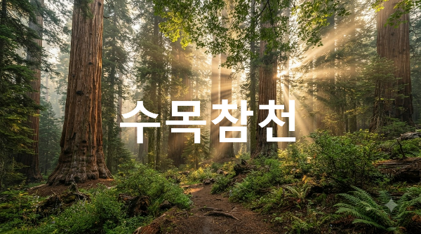 수목참천