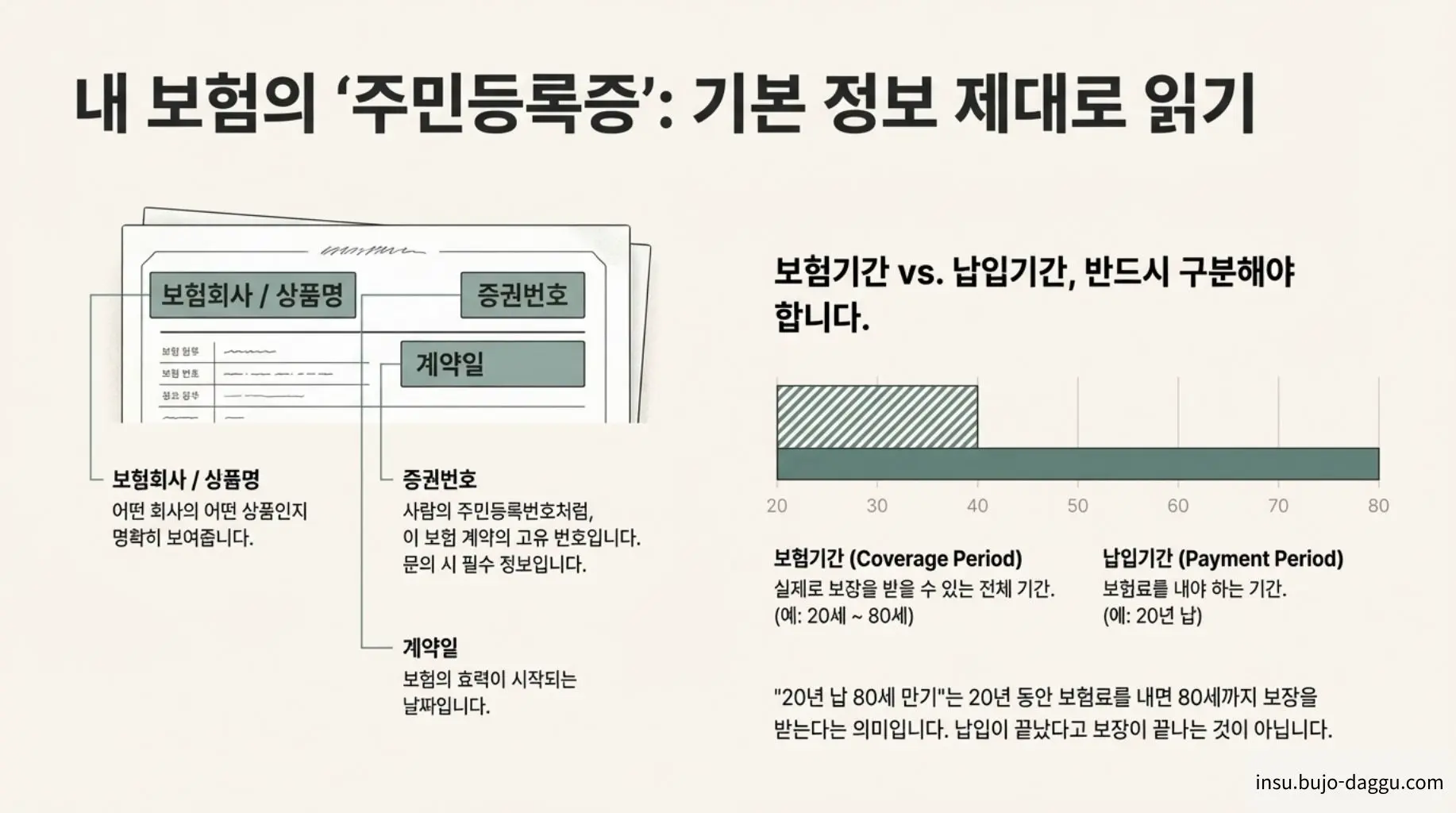보험 증권 보는 법｜항목별로 쉽게 읽는 방법