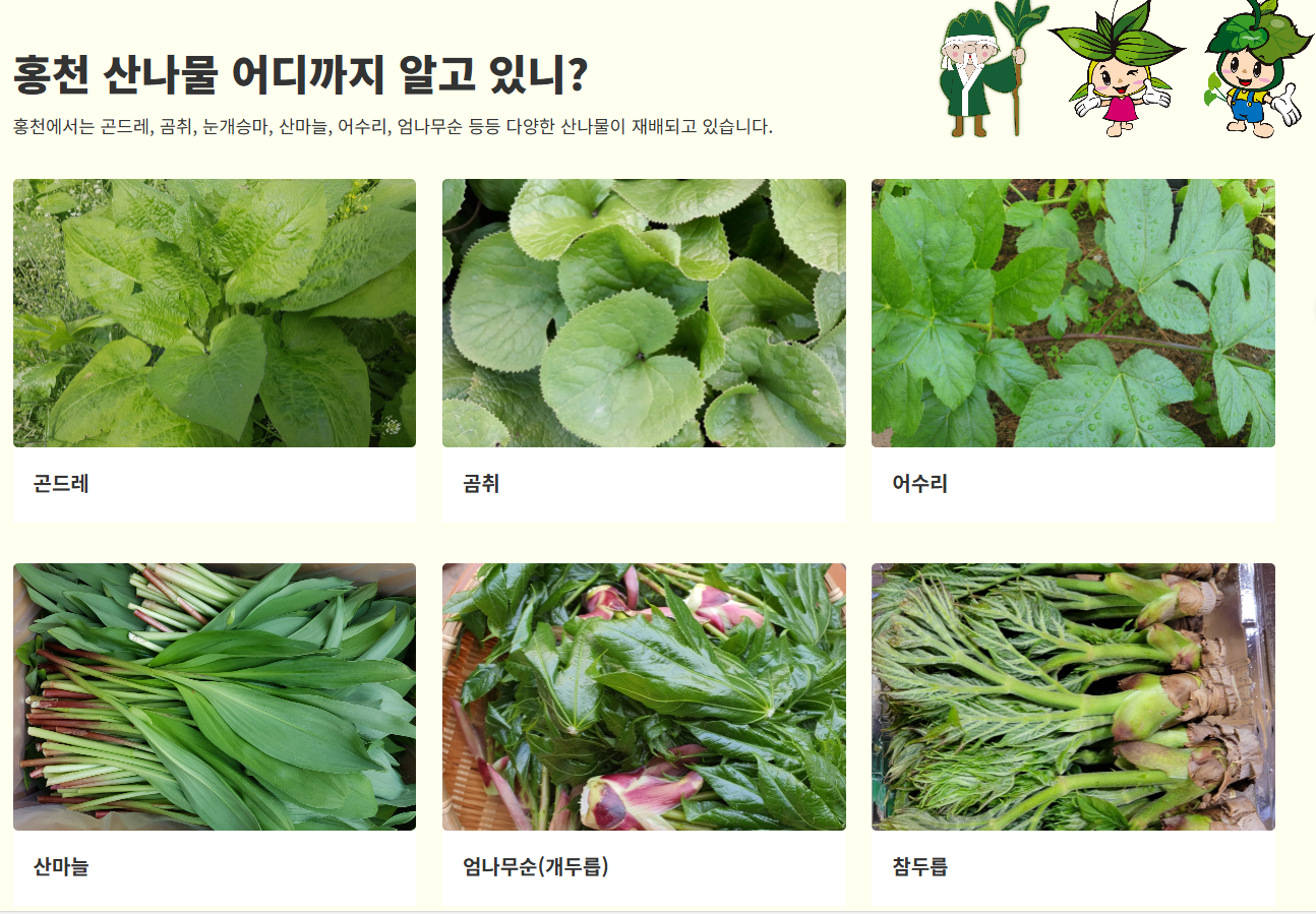 6시내고향 제7회 홍천 산나물 축제 일정 및 상세 정보