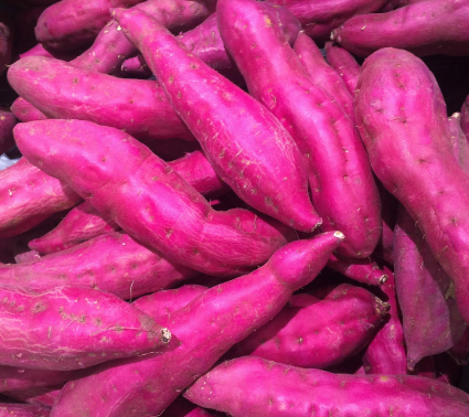 보라색의 기적 자색 고구마, 노화를 막고 간을 보호하는 천연 영양제!