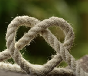 INTP 유형 특징 분석