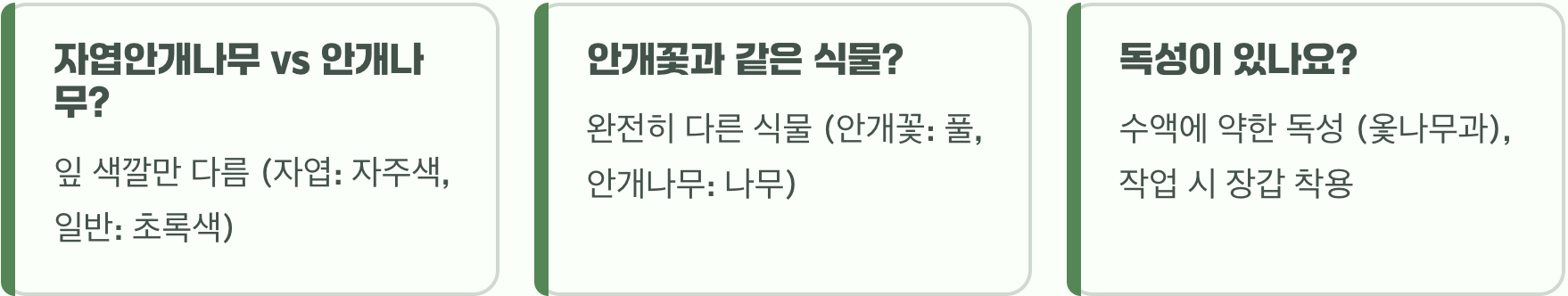 자엽안개나무 꽃, 정말 안개처럼 보일까? (개화 시기, 조건)